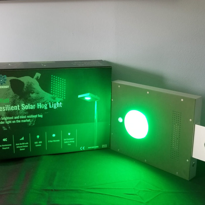 SOLAR POWERED FEEDER LIGHT GREEN PMA USA Supply